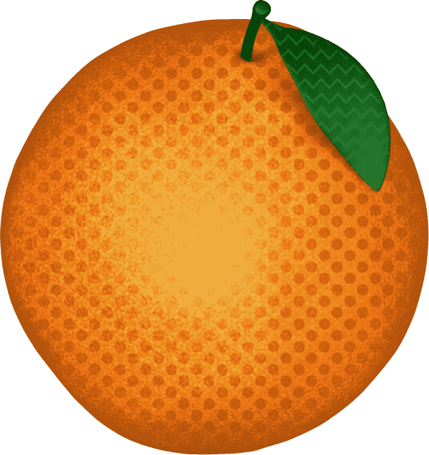 Orange Fruit Graphic