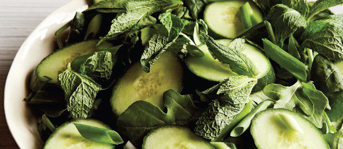 A close-up of a bowl of salad featuring cucumber, lettuce, and mint.